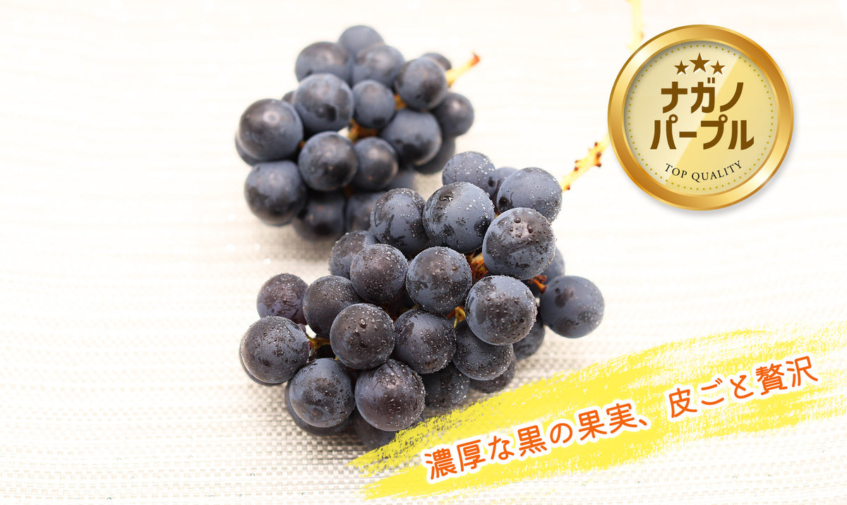 季節のぶどうセット(送料込・一部地域除く)