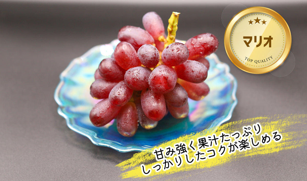 季節のぶどうセット(シャイン入り)8月下旬~(送料込・一部地域除く)