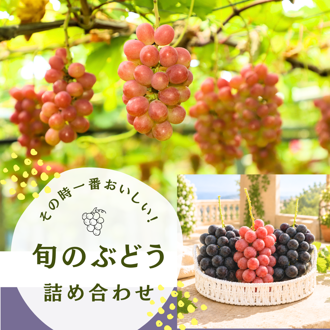 ぶどう ～ 一口食べれば、口いっぱいに広がる瑞々しさ！