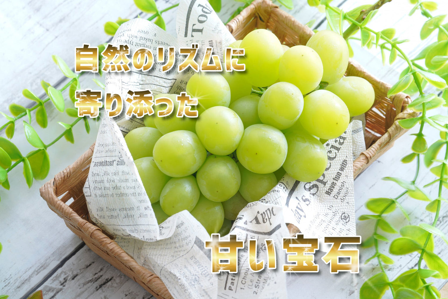 ぶどう ～ 一口食べれば、口いっぱいに広がる瑞々しさ！