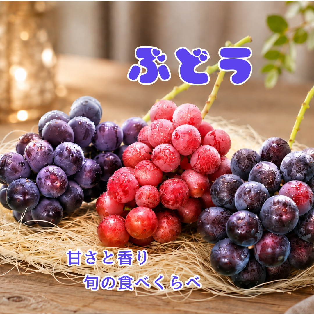 季節のぶどうセット(送料込・一部地域除く)