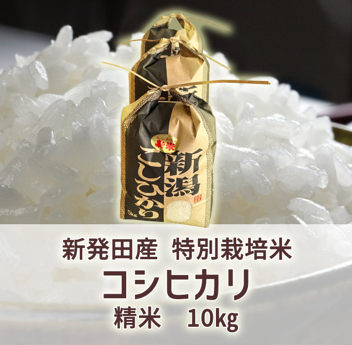 特別栽培米コシヒカリ(令和8年産)　精米10㎏(送料込み・一部地域除く)