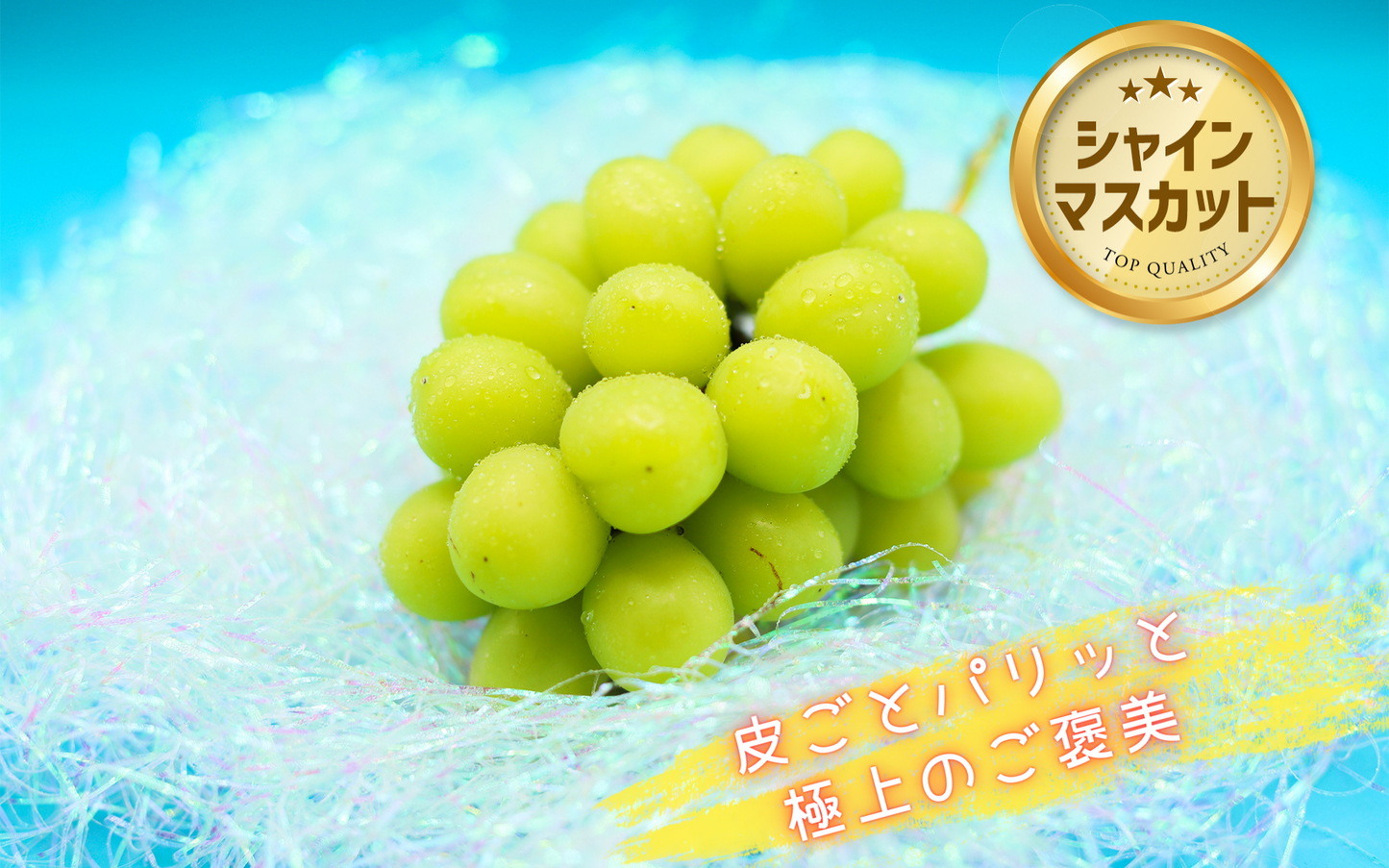 季節のぶどうセット（シャイン入り）