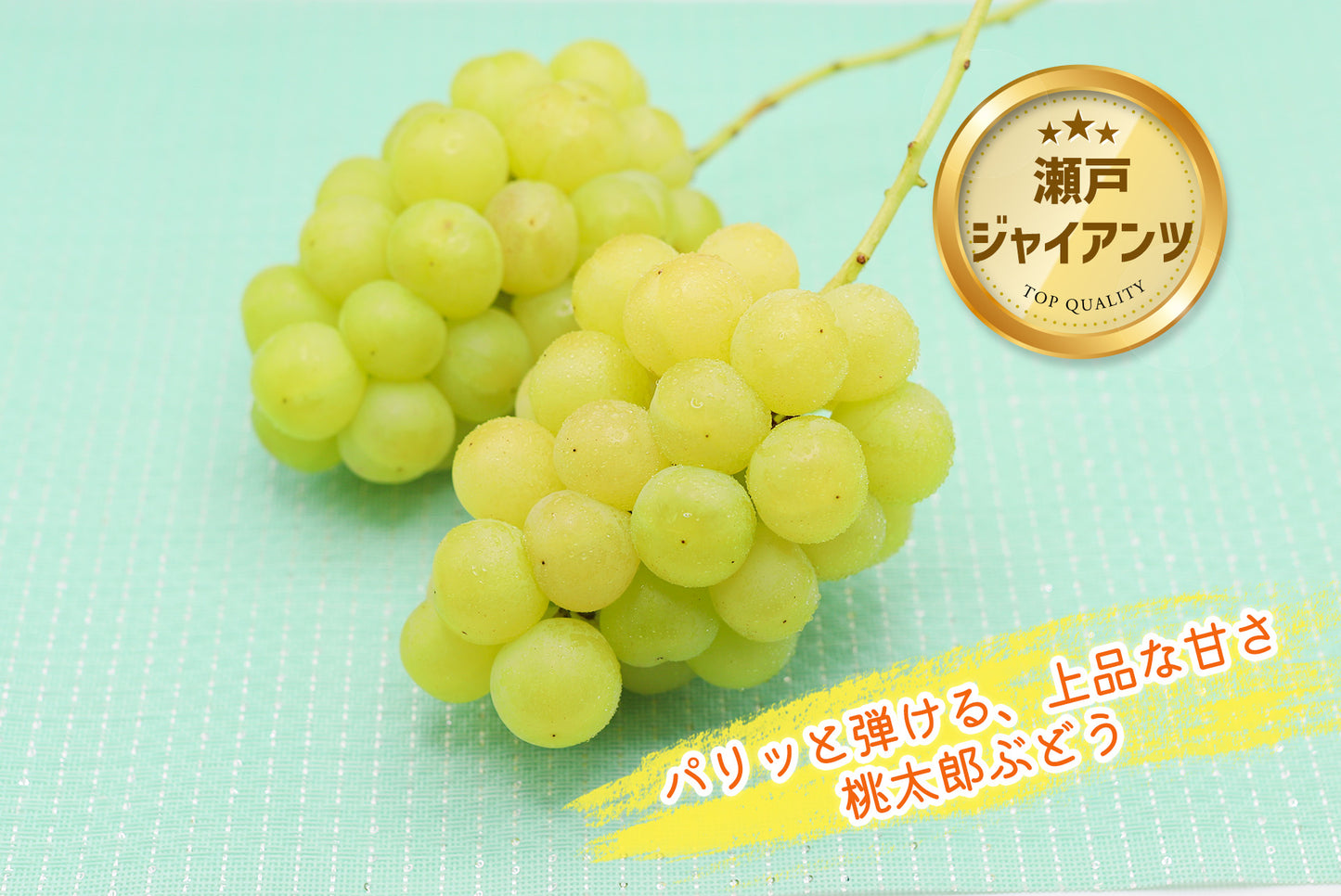 季節のぶどうセット（シャイン入り）8月下旬～(送料別)