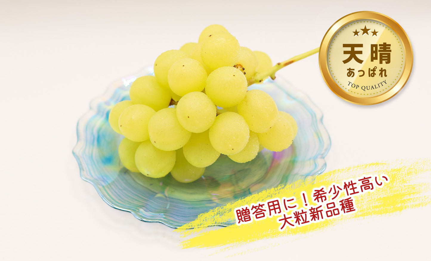 季節のぶどうセット（シャイン入り）8月下旬～(送料別)