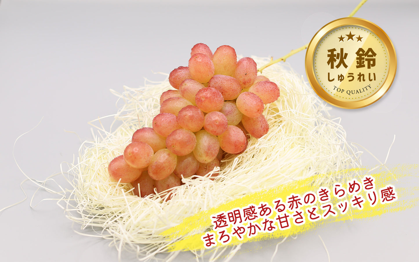 季節のぶどうセット（シャイン入り）8月下旬～(送料別)
