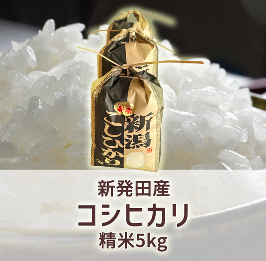 新発田産コシヒカリ(令和7年産)　精米5kg