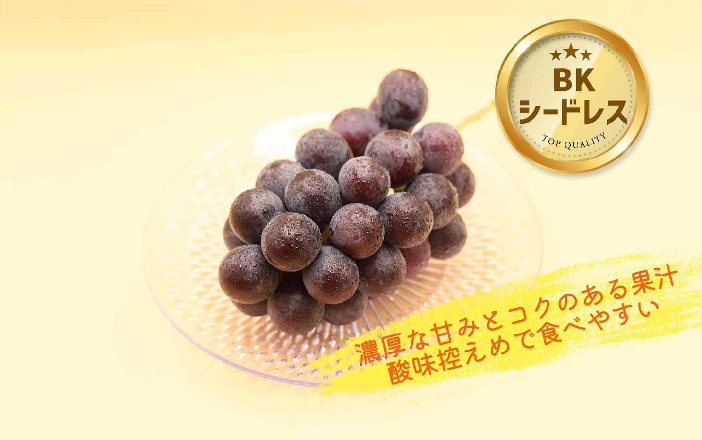 季節のぶどうセット（シャイン入り）8月下旬～(送料別)