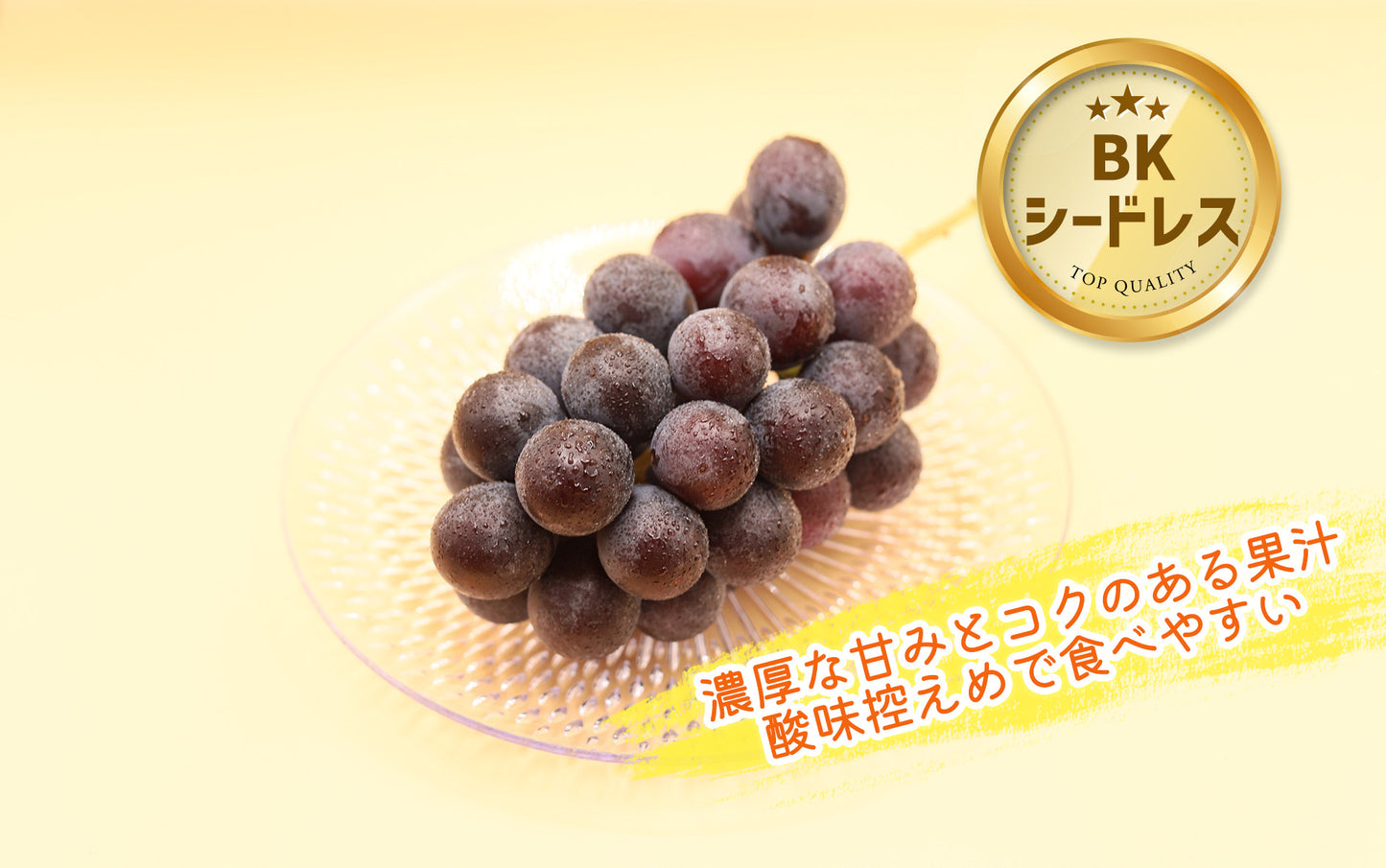 季節のぶどうセット（シャイン入り）8月下旬～(送料別)