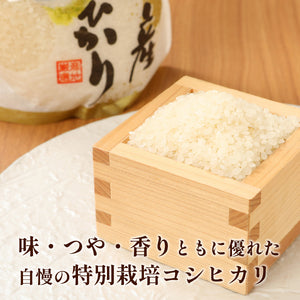 特別栽培米コシヒカリ(令和8年産)　精米10㎏(送料込み・一部地域除く)