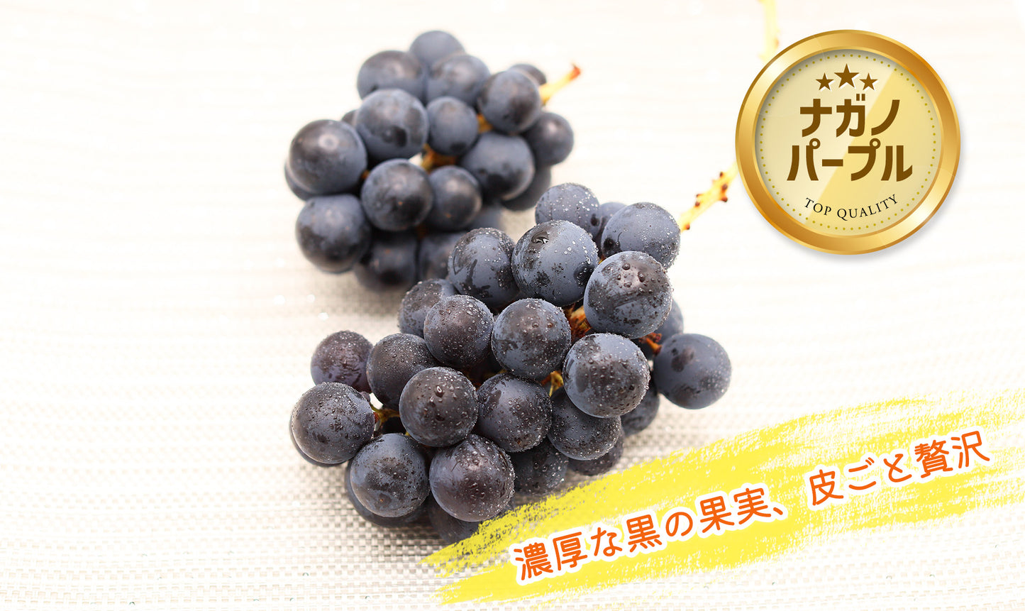 季節のぶどうセット（シャイン入り）8月下旬～(送料別)