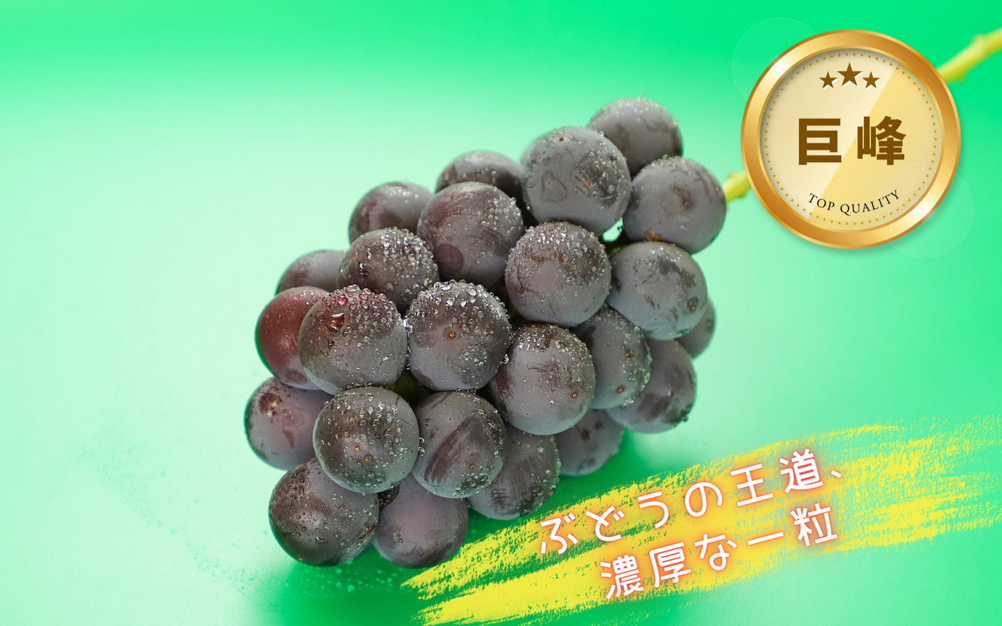 季節のぶどうセット