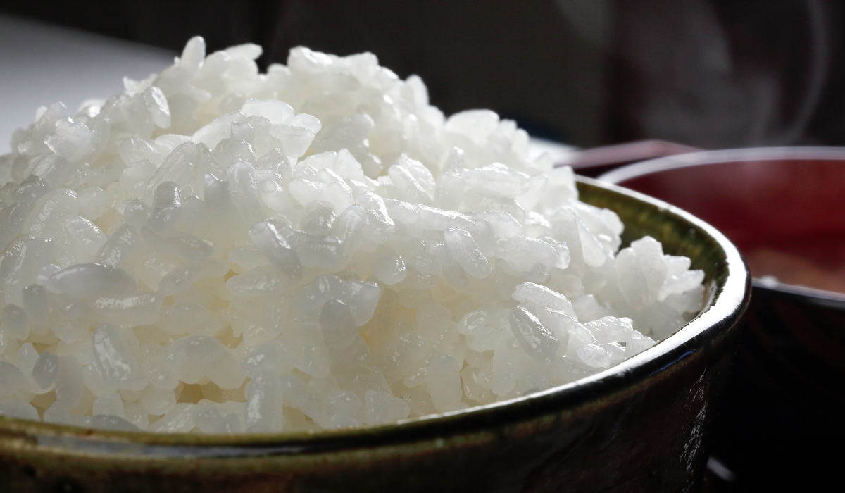 特別栽培米コシヒカリ(令和8年産)　精米10㎏(送料込み・一部地域除く)