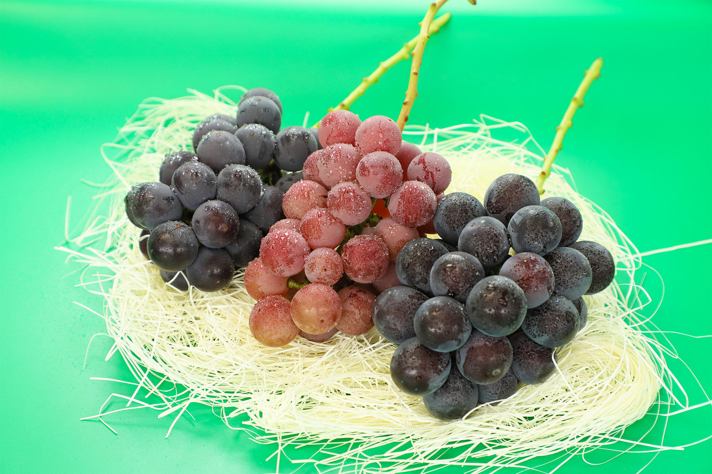 季節のぶどうセット（シャイン入り）