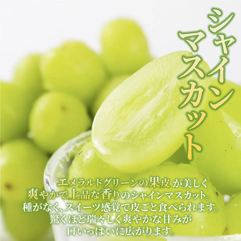 シャインマスカットセット